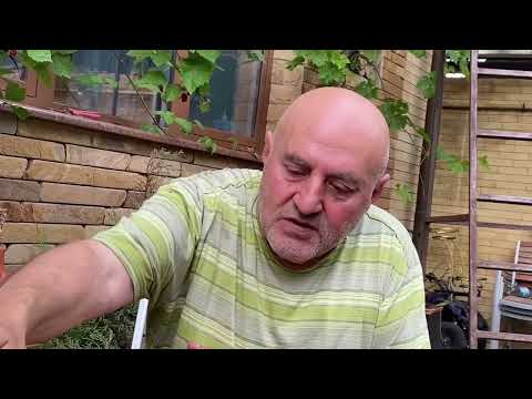 Видео: ИНДЕЙКА ОТВАРНАЯ