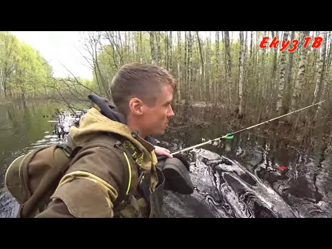 Видео: Мещёрские Хроники - 39/Лес утонул!Добраться до реки Пра!