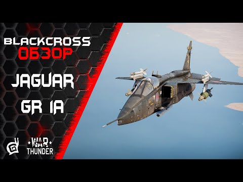 Видео: Jaguar GR 1A | САМЕЦ ЗА ВСЕМ ПРИСМОТРИТ