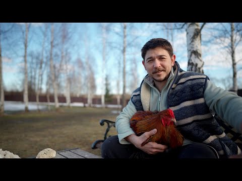 Видео: Море для самых маленьких.  С чего начать