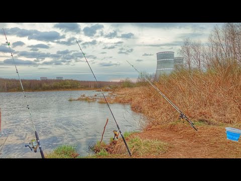 Видео: СУПЕР открытие сезона РЫБАЛКА с ночёвкой НА ДОНКИ Рыбалка весной 2024