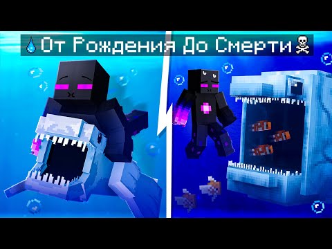 Видео: 😨 Майнкрафт но ЖИЗНЬ БЛУПА от Рождения До Смерти!