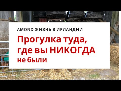 Видео: ИРЛАНДСКАЯ ФЕРМА 🌺 ГДЕ МЫ БЕРЕМ ДОМАШНЕЕ МОЛОКО ДЛЯ СЫРА 🌺 IRISH MILK FARM VLOG 🌺@Amond