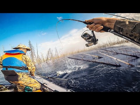 Видео: Запомню ЭТО НА ВСЮ ЖИЗНЬ! РЫБАЛКА В ЗАТОПЛЕННОМ ЛЕСУ! Рыбалка по-братски ч.5
