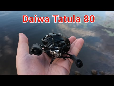 Видео: Daiwa Tatula 80 - дальнобойная малютка. Обзор