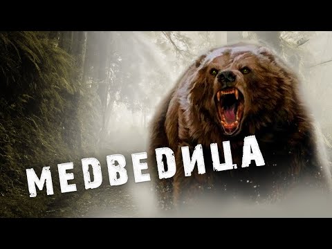 Видео: 🐻ПЕРВАЯ И ПОСЛЕДНЯЯ МЕДВЕЖЬЯ ОХОТА!Необъяснимый случай в тайге!