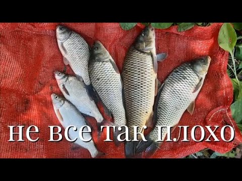 Видео: Шок на рыбалке от находки. На что ловили сазана? Нежданные ночные гости #рыбалкаНАдону #отдыхУреки