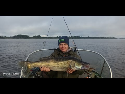 Видео: Рыбалка на Оби. Инкино. Тролинг