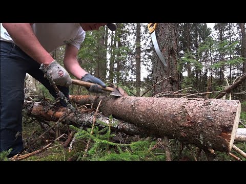 Видео: ИЗБА В ЛЕСУ- часть 1 | ЗАГОТАВЛИВАЕМ БРЕВНА | Готовим КРАПИВНЫЙ СУП