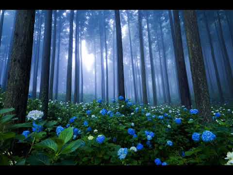 Видео: Обитель и экзальтация управителя асцендента