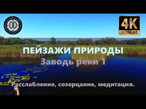 Видео: 4k Пейзажи и звуки природы: заводь реки 1 (relaxing nature).