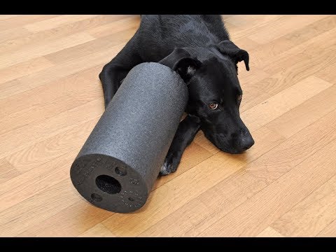 Видео: Нужно ли платить за марку, чтобы спасти спину?