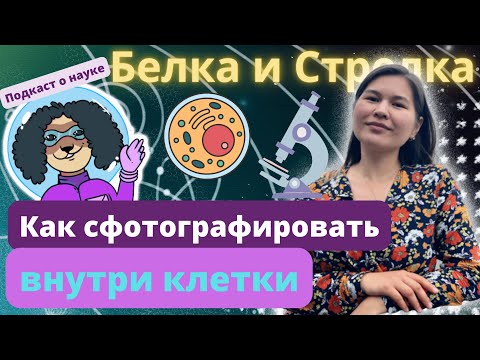 Видео: Как сделать фото внутри клетки? В гостях биофизик Гаухар Жургенбаева