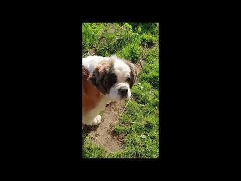 Видео: Мое первое видео