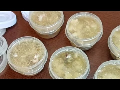 Видео: Как приготовить ХОЛОДЕЦ В СКОРОВАРКЕ! / How to cook JELLY IN PRESSURE COOKER!