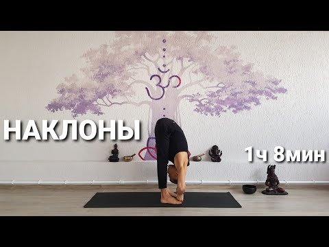 Видео: Наклоны