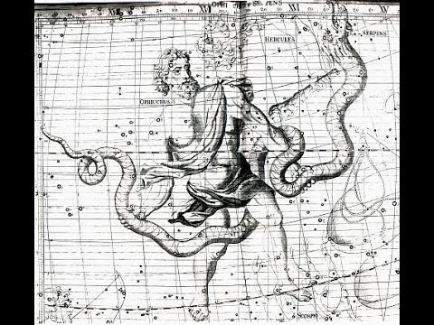 Видео: ЗМЕЕНОСЕЦ  Что это,  зачем и почему.....