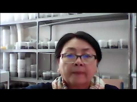 Видео: Ферментные препараты в пищевом производстве