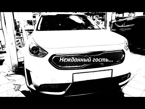 Видео: Нежданный гость. Kia Niro Hybrid.