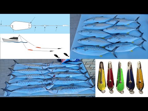 Видео: Раскрываем секрет троллинговой ловли скумбрии в заливе Мортон — часть 1!