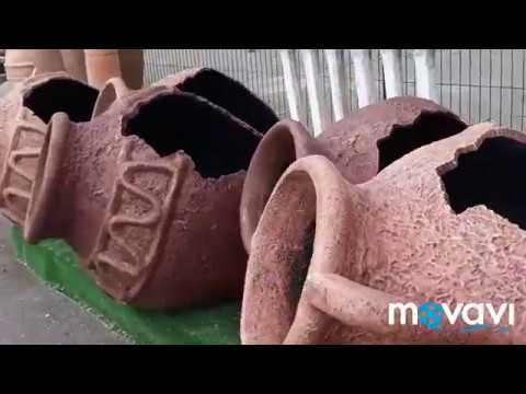 Видео: Влог: Для пруда кувшин/ Что выбрать?/ Обзор/ 11 июля 2018 г.