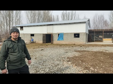 Видео: САРАЙГА  1🍋 АКЧА КЕТТИ