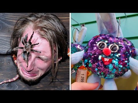 Видео: Фото подписчиков Фактории (130 часть)