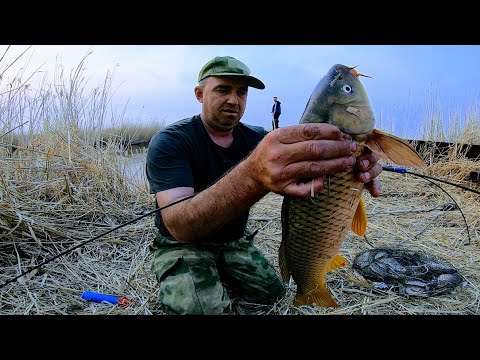 Видео: Тонны рыбы в мутной реке Рыбалка на паук Рыбалка на кастинговую сеть с опасного моста Рыбалка 2023