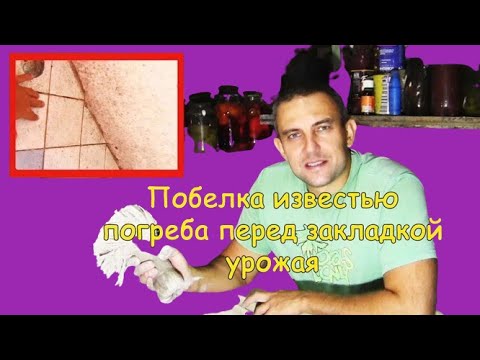 Видео: Побелка стен известью (в погребе)