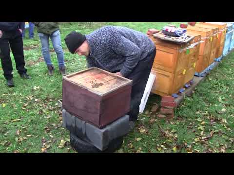 Видео: улей в верх  ногами. разворот на 180,потребление меда меньше зимой с 10 кг до 4 кг (2-часть)