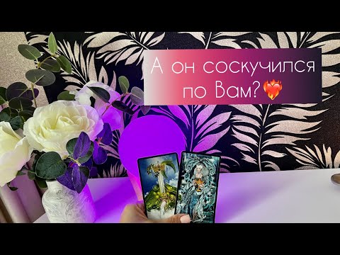 Видео: А он соскучился по Вам? ☺️❤️‍🔥