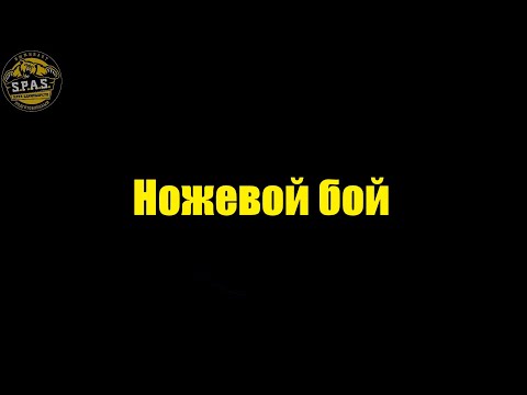 Видео: Проект - "Суть". Руководитель С.П.А.С. о ножевом бое.