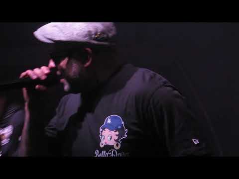 Видео: Биртман - Паленые найки (07.11.2025, Киров, Мистер Грин)