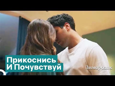 Видео: Как Только Обниму Тебя За Талию — Поцелую | Зимородок