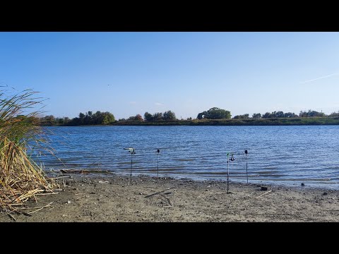 Видео: Не плохо отловился по карасю вечерняя рыбалка на пару часов 