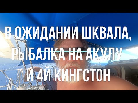 Видео: Тортола - Майами. Финальный этап. В океане на Шамане. Серия 256