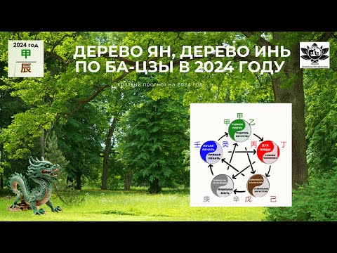 Видео: Дерево Ян, Дерево Инь в 2024 году, краткий прогноз по элементам личности