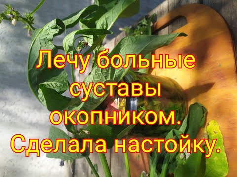Видео: Лечу больные суставы окопником. Сделала настойку.