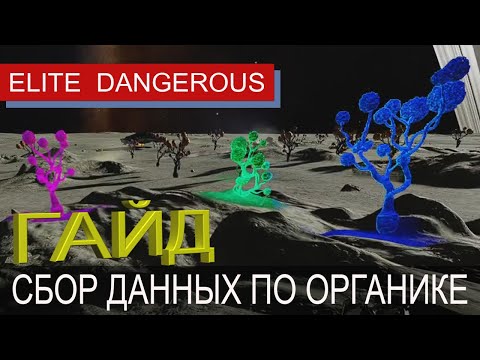 Видео: Экзобиолог, гайд по сбору генетических образцов, Elite Dangerous, Odyssey.