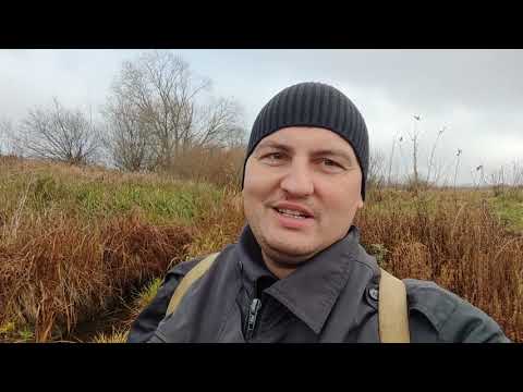 Видео: Охота на бобра капканами Беларусь. Новый выезд. 