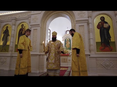 Видео: Архиерейское богослужение. 26 ноября 2022 года.