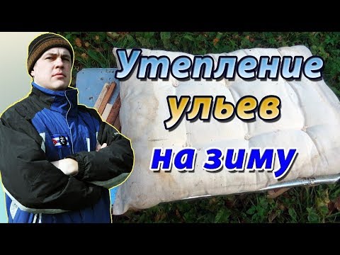 Видео: Утепление ульев на зиму. Вентиляция улья. Клуб пчёл осенью.