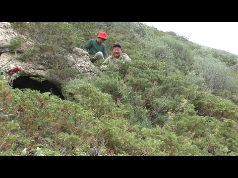 Видео: Ущелье Шамси, пещера.