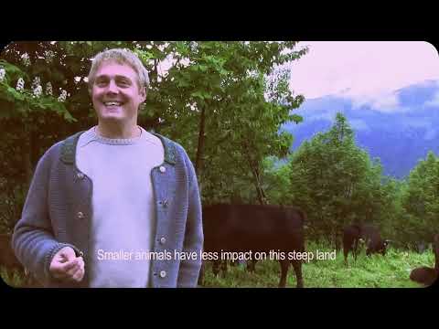 Видео: ПЕРМАКУЛЬТУРА КРАМЕТЕРХОФФ. ЙОЗЕФ ХОЛЬЦЕР