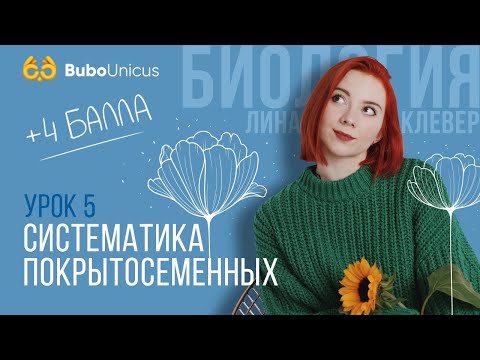 Видео: Систематика покрытосеменных | БИОЛОГИЯ ЕГЭ | Лина Клевер