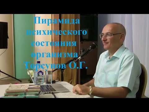Видео: Пирамида психического состояния организма.Торсунов О.Г.