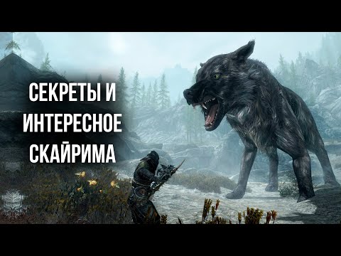 Видео: Skyrim Секреты и Интересные Моменты игры ( Секреты 386)