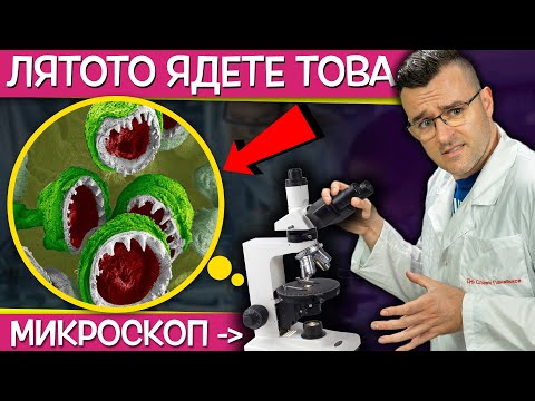 Видео: 15 НЕЩА, които изглеждат ШОКИРАЩО под МИКРОСКОП