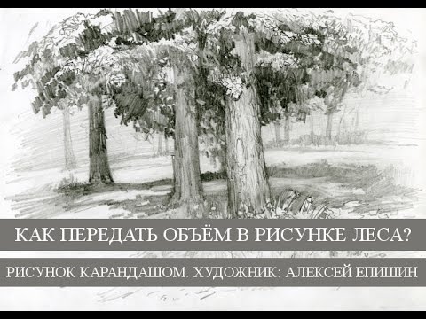 Видео: Как передать объём в рисунке леса? Рисунок карандашом. Художник Алексей Епишин