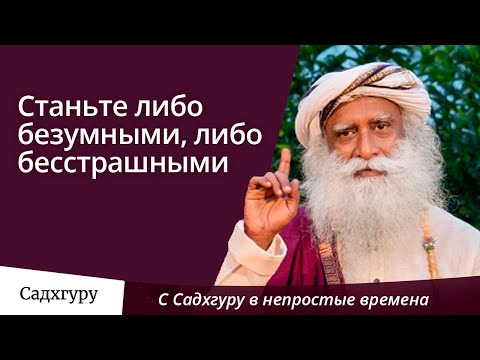 Видео: Станьте либо безумными, либо бесстрашными